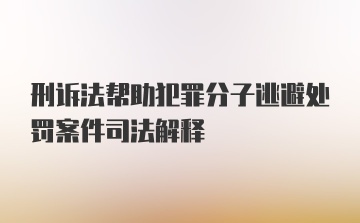 刑诉法帮助犯罪分子逃避处罚案件司法解释