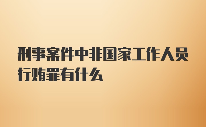 刑事案件中非国家工作人员行贿罪有什么