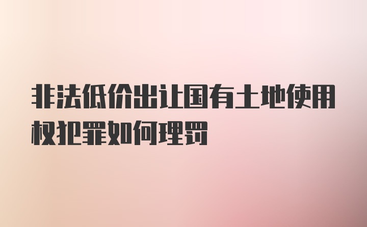 非法低价出让国有土地使用权犯罪如何理罚