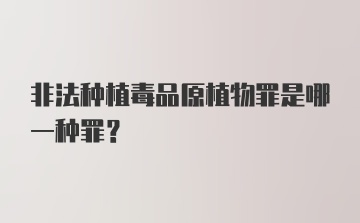 非法种植毒品原植物罪是哪一种罪?