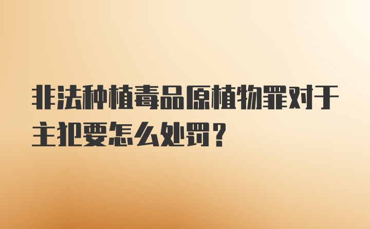 非法种植毒品原植物罪对于主犯要怎么处罚？