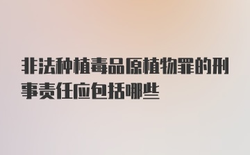 非法种植毒品原植物罪的刑事责任应包括哪些