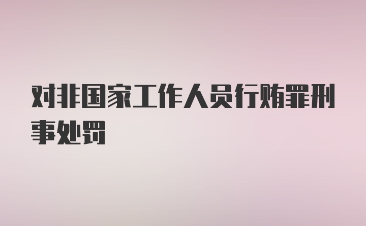 对非国家工作人员行贿罪刑事处罚