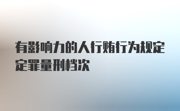 有影响力的人行贿行为规定定罪量刑档次