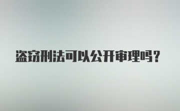 盗窃刑法可以公开审理吗?