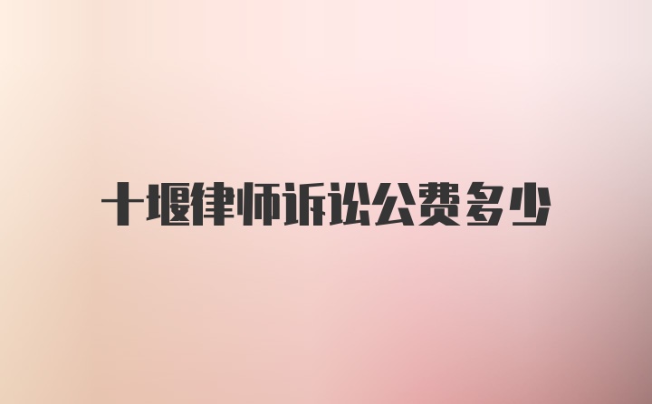 十堰律师诉讼公费多少