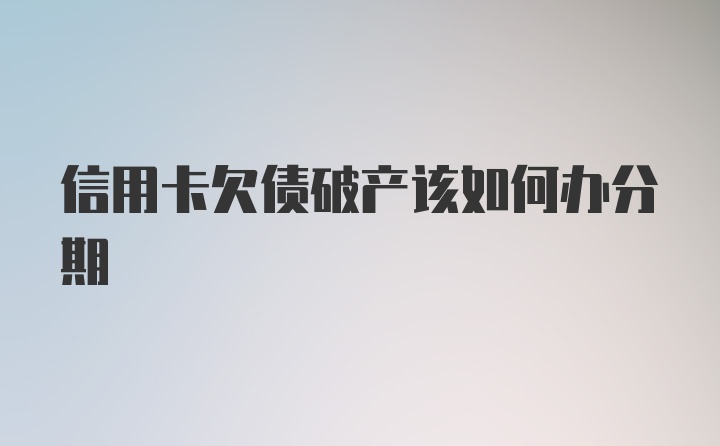 信用卡欠债破产该如何办分期