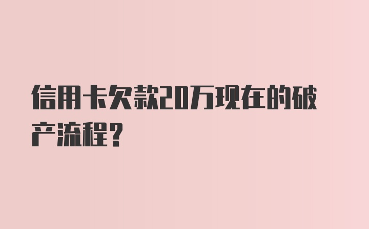 信用卡欠款20万现在的破产流程？