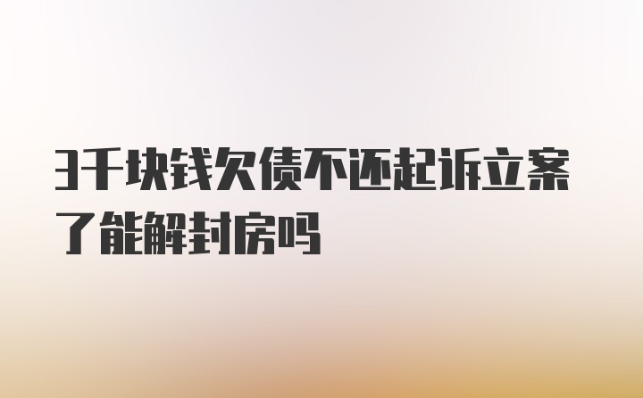 3千块钱欠债不还起诉立案了能解封房吗