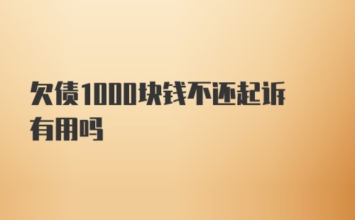 欠债1000块钱不还起诉有用吗