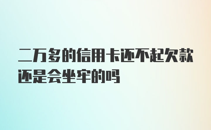 二万多的信用卡还不起欠款还是会坐牢的吗