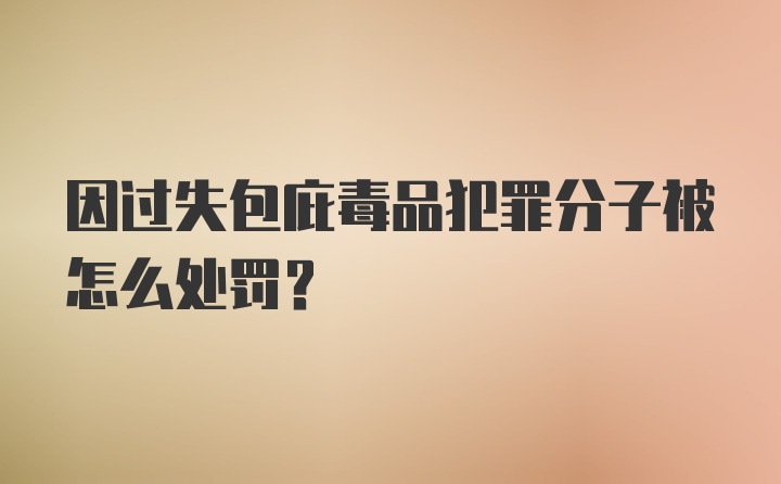 因过失包庇毒品犯罪分子被怎么处罚？