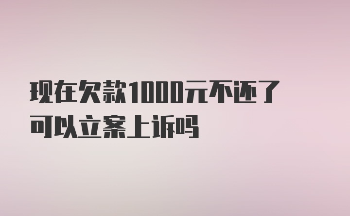 现在欠款1000元不还了可以立案上诉吗