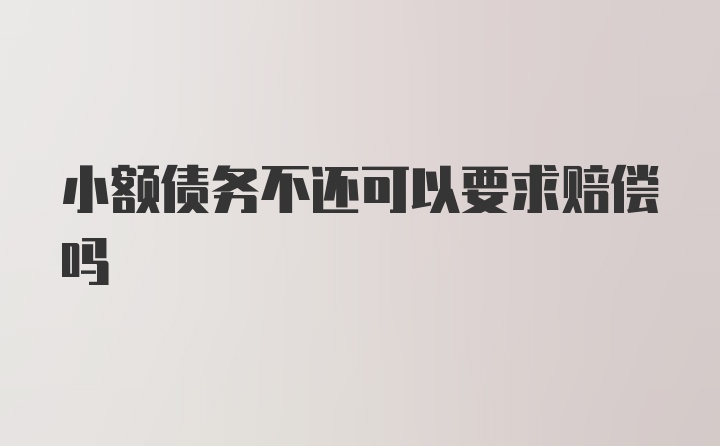 小额债务不还可以要求赔偿吗