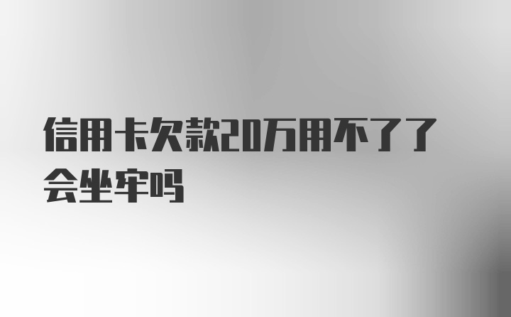 信用卡欠款20万用不了了会坐牢吗