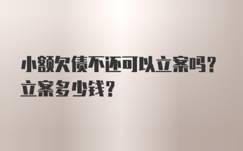 小额欠债不还可以立案吗？立案多少钱？