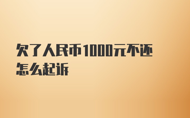 欠了人民币1000元不还怎么起诉