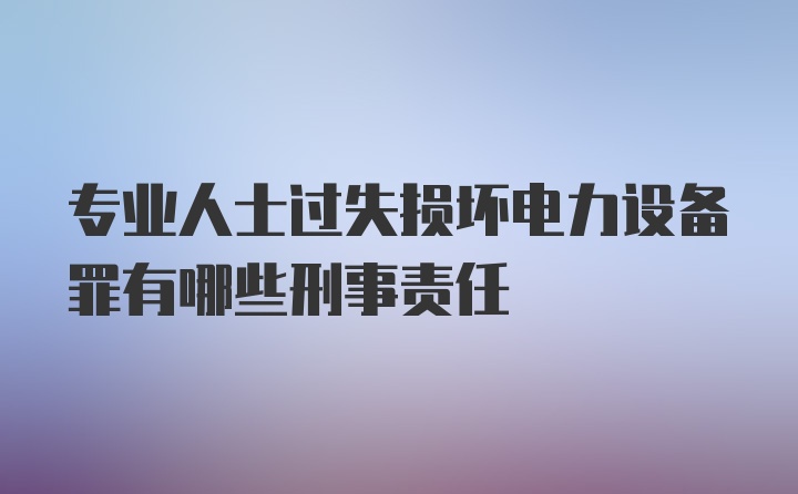 专业人士过失损坏电力设备罪有哪些刑事责任