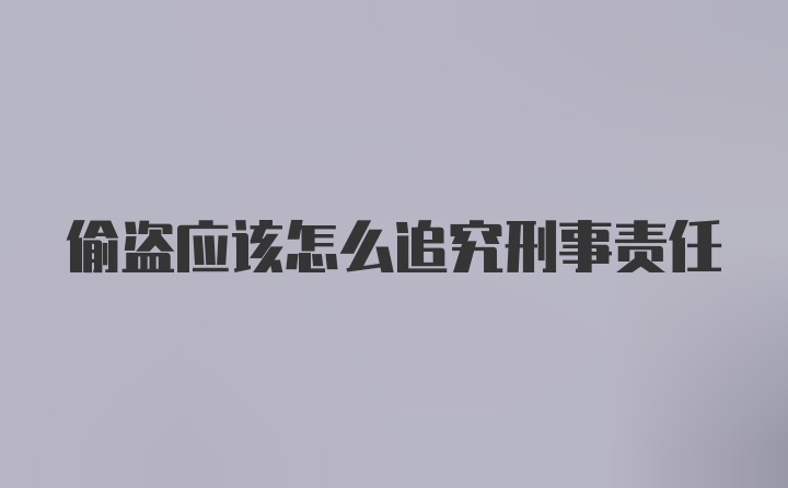 偷盗应该怎么追究刑事责任