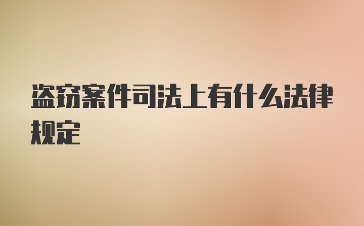 盗窃案件司法上有什么法律规定