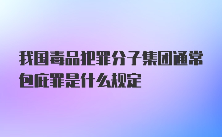 我国毒品犯罪分子集团通常包庇罪是什么规定