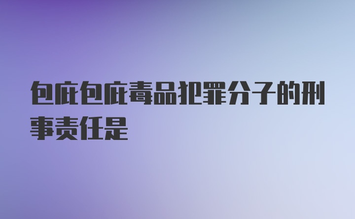 包庇包庇毒品犯罪分子的刑事责任是