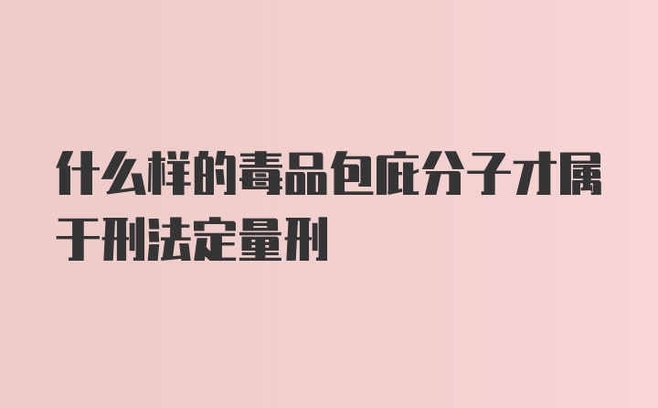 什么样的毒品包庇分子才属于刑法定量刑