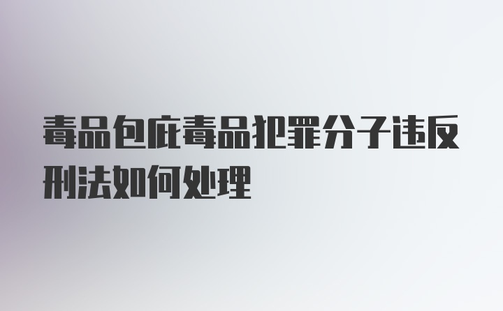 毒品包庇毒品犯罪分子违反刑法如何处理