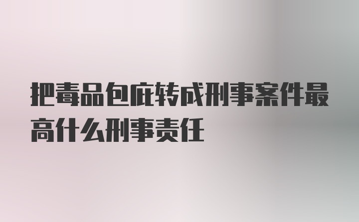 把毒品包庇转成刑事案件最高什么刑事责任