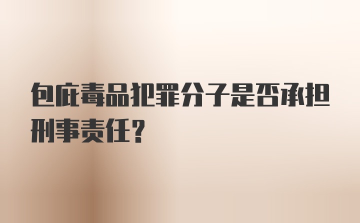 包庇毒品犯罪分子是否承担刑事责任？