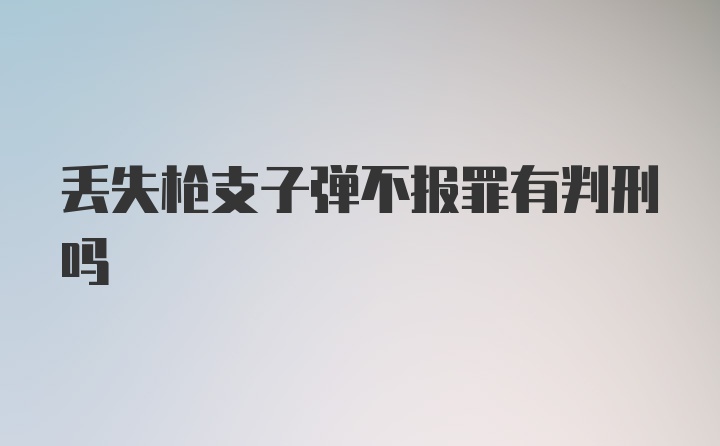 丢失枪支子弹不报罪有判刑吗