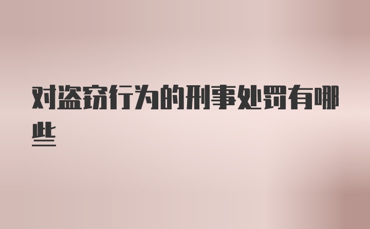 对盗窃行为的刑事处罚有哪些