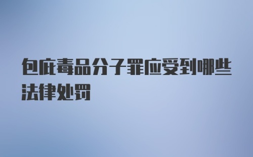 包庇毒品分子罪应受到哪些法律处罚