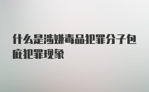 什么是涉嫌毒品犯罪分子包庇犯罪现象