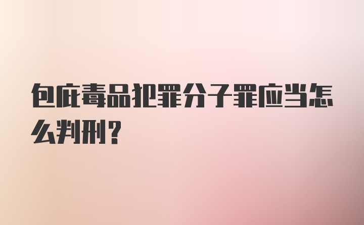 包庇毒品犯罪分子罪应当怎么判刑？