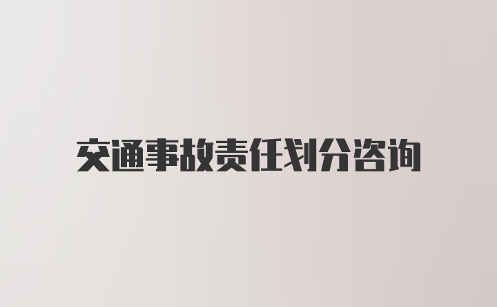 交通事故责任划分咨询