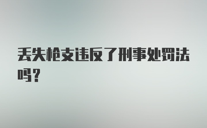 丢失枪支违反了刑事处罚法吗?