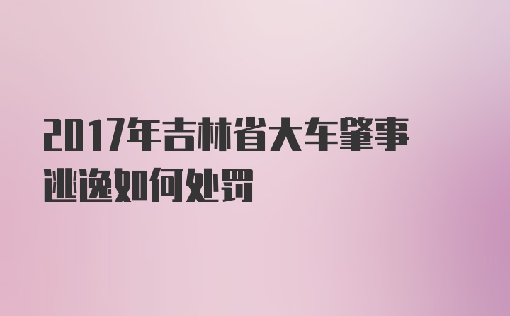 2017年吉林省大车肇事逃逸如何处罚