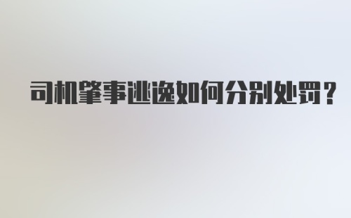 司机肇事逃逸如何分别处罚？