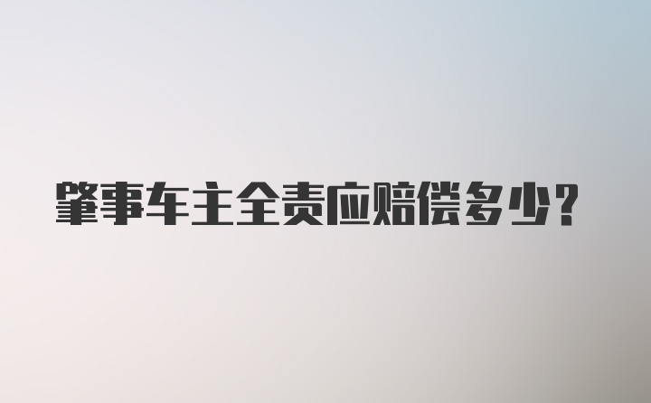 肇事车主全责应赔偿多少？