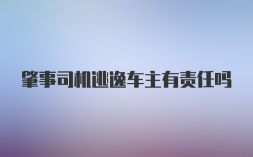 肇事司机逃逸车主有责任吗