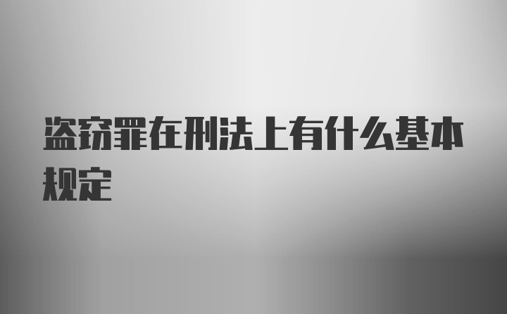 盗窃罪在刑法上有什么基本规定