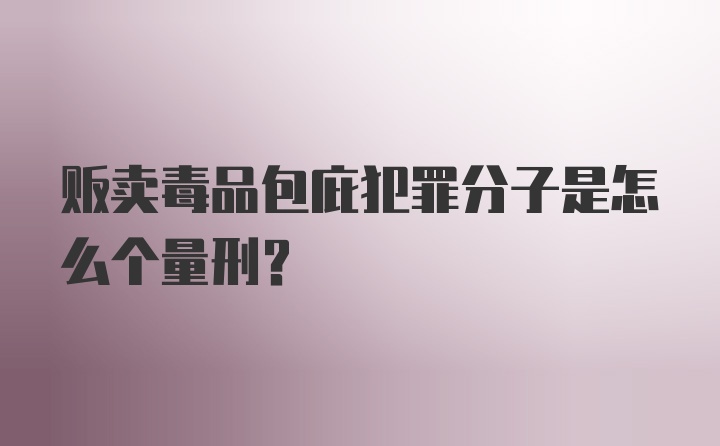 贩卖毒品包庇犯罪分子是怎么个量刑？