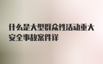 什么是大型群众性活动重大安全事故案件详