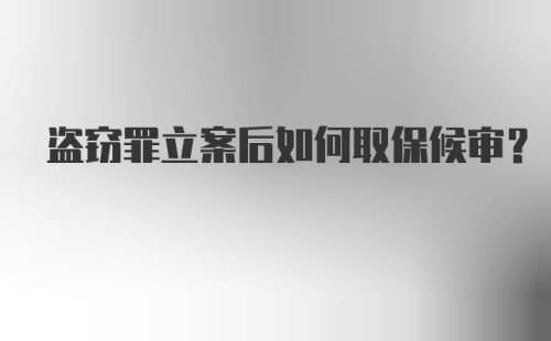 盗窃罪立案后如何取保候审？