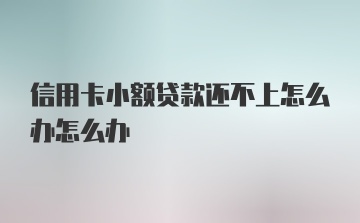 信用卡小额贷款还不上怎么办怎么办