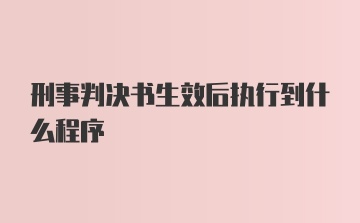 刑事判决书生效后执行到什么程序