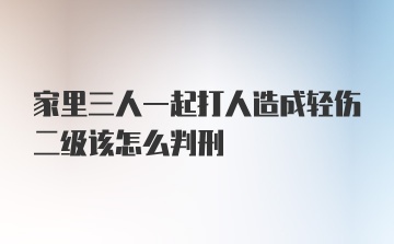 家里三人一起打人造成轻伤二级该怎么判刑