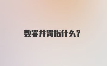 数罪并罚指什么？