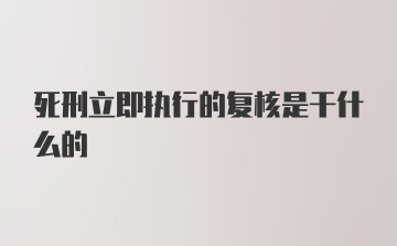 死刑立即执行的复核是干什么的